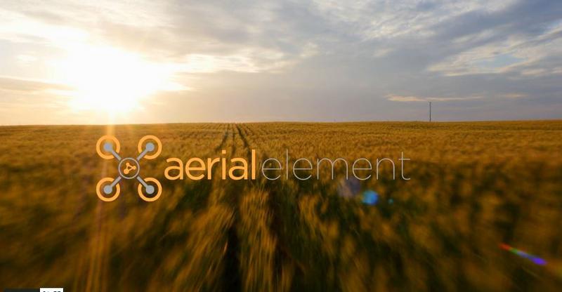 Aerial Element