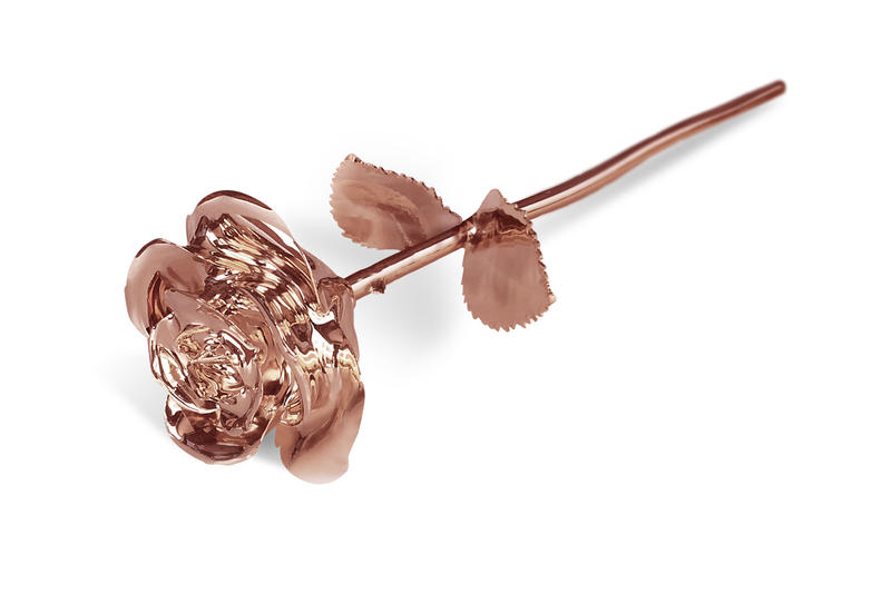 Infinity Rose