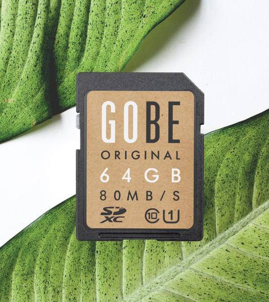 Gobe
