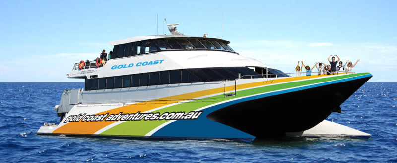 Gold Coast Whale Adventures