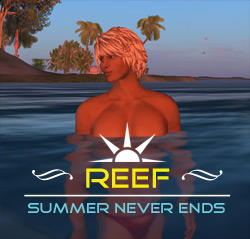 Reef Beauty: Mount Gravatt