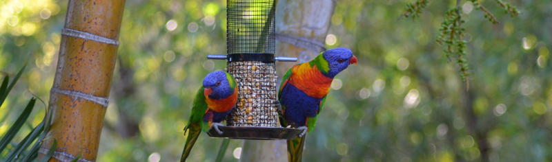 Nature Mates