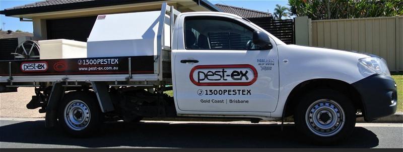 Pest-Ex: Brisbane
