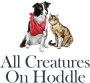 All Creatures On Hoddle logo