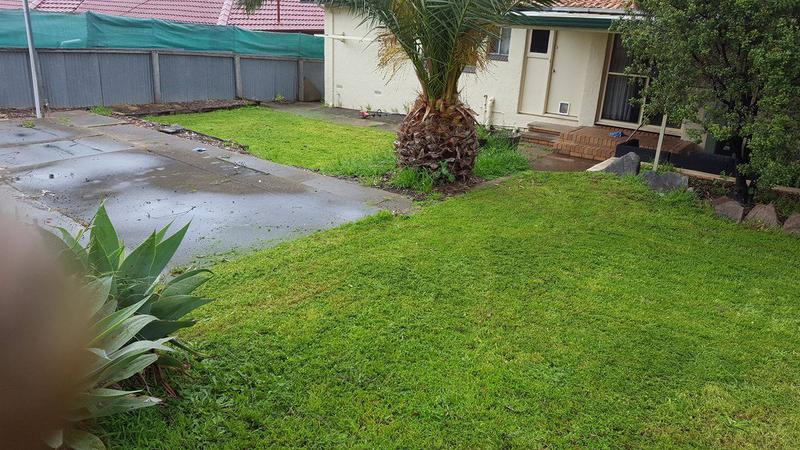 Executive Lawn Maintenance