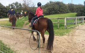 Gunnamatta Trail Rides