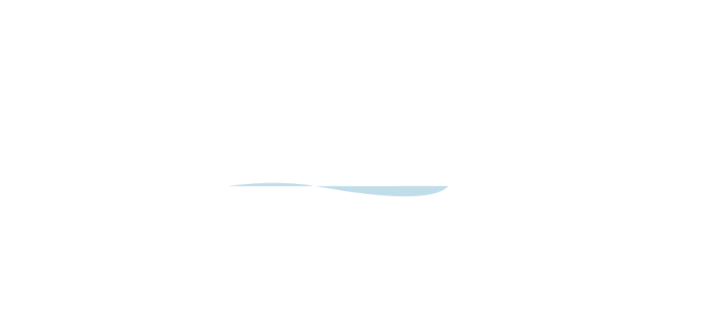 The Pool Gurus