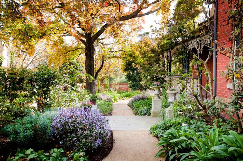 Tom's Secret Garden