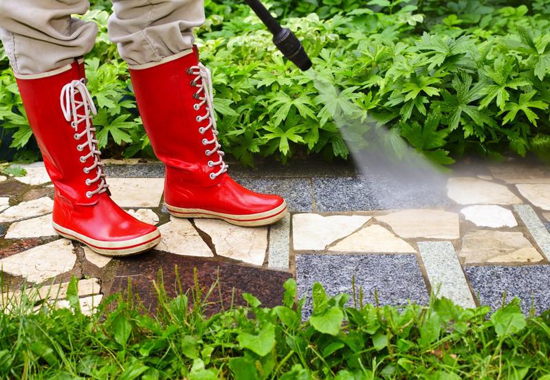 EPM Pest Control Services