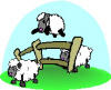 5 Star Yards & Fences