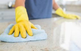 Bluetongue Cleaning Services