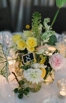 Wilderness Flowers
