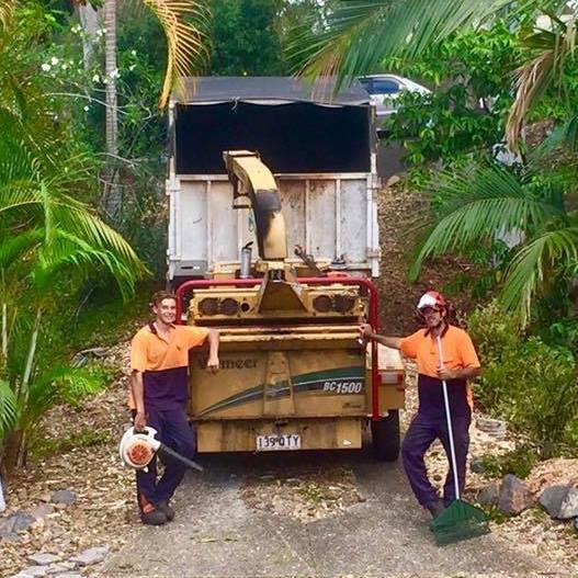 Monkey Business Tree Service