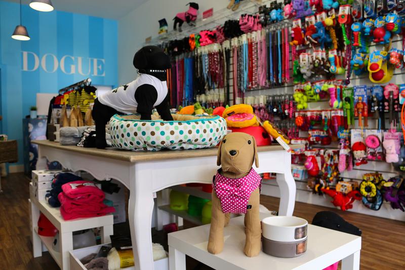 DOGUE: Brighton