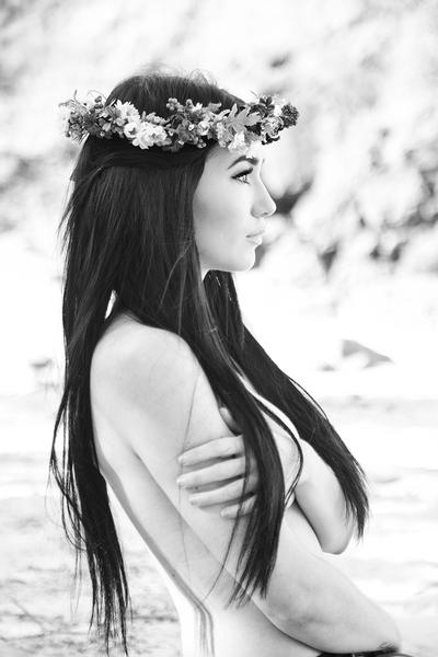 Wildflower Portraits