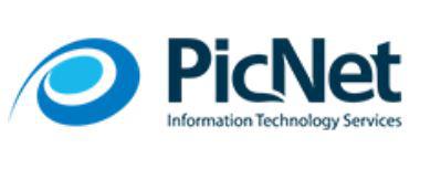 PicNet Information Technology Services