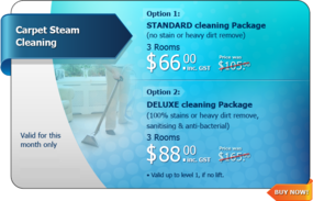 Excellent Steam & Dry Cleaning Service: Williams Landing