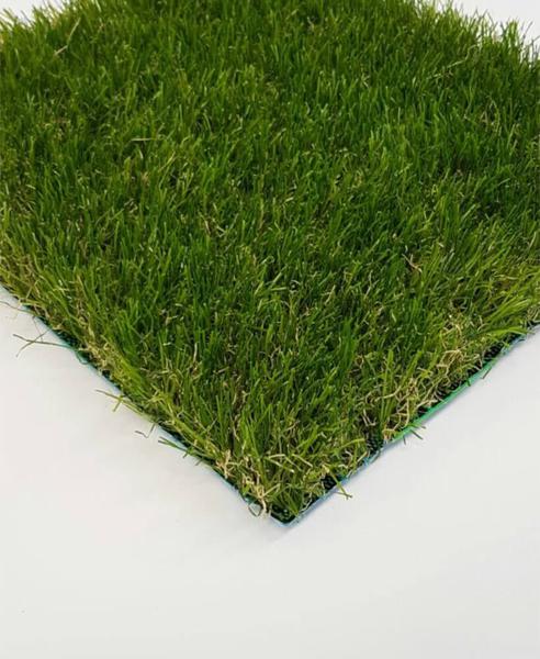 Forest Grass