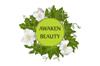 Awaken Beauty