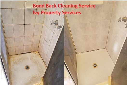 Ivy Property Services