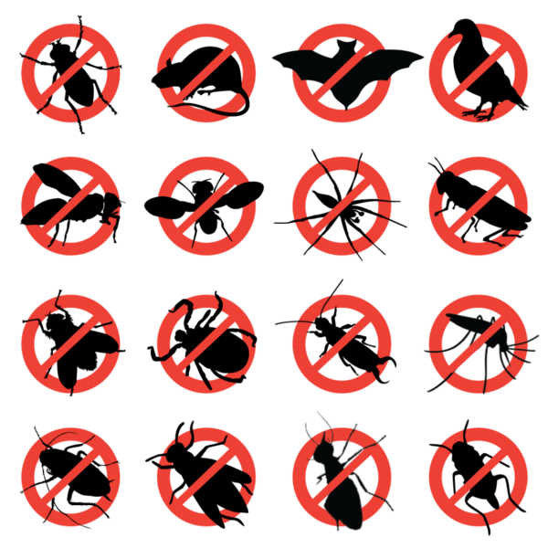 Be Pest Free