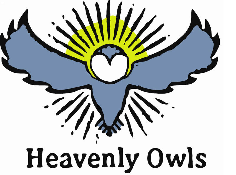 Heavenly Owls