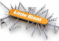 Little Giant Ladders logo