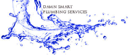 Damn Smart Plumbing Services