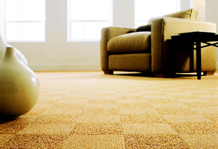 Carpet Advice logo