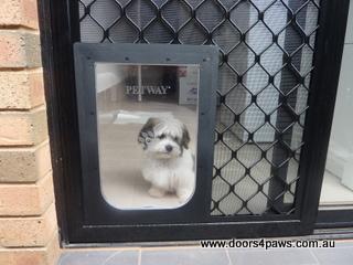 Doors 4 Paws