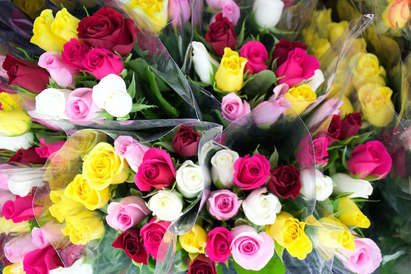 Boydita Flowers Delivered: West Gosford