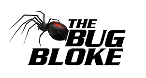 The Bug Bloke