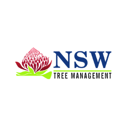 NSW Tree Management