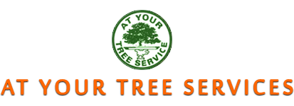 At Your Tree Service
