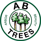 AB Trees: Spearwood