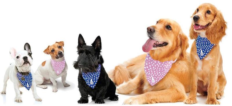 Top Mops Dog Grooming