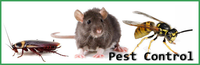 Marks Pest Control