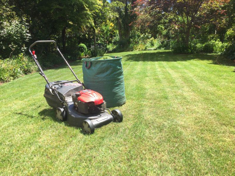 Fox Mowing and Gardening: Chisholm