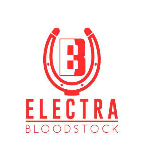 Electra Bloodstock