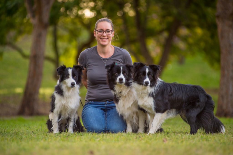 Synergy Dog Training