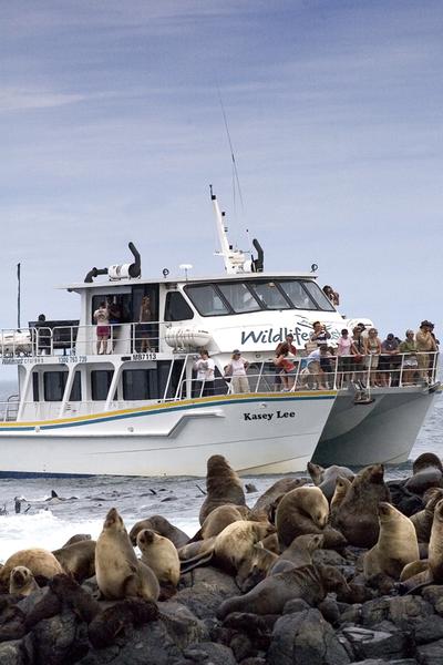 Wildlife Coast Cruises