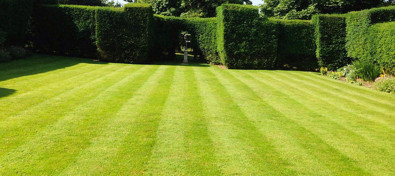 Maks Mowing Services