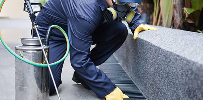 Enviro Safe Pest Control Perth