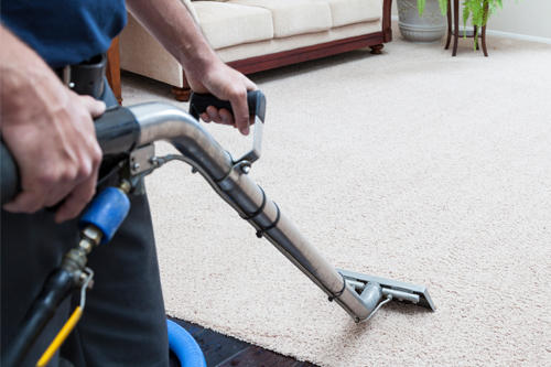 Fantastic Carpet Cleaning