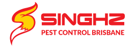 Singhz Pest Control Brisbane
