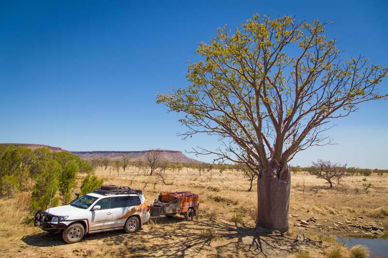 Crikey Camper Hire