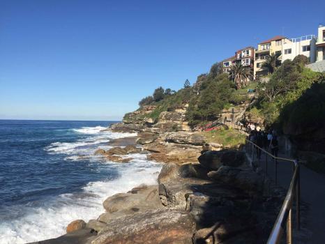Daily Sydney Tours