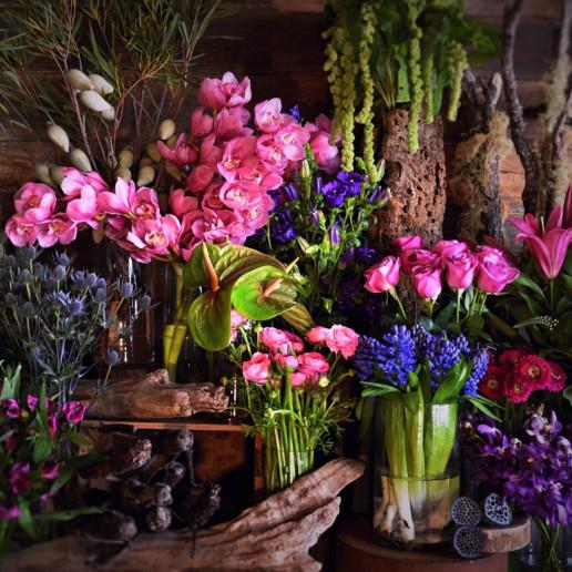 Stalks & Stems