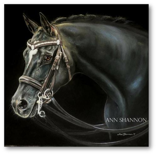 Ann Shannon Art School