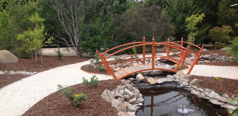 Abelia Garden Maintenance and Landscaping